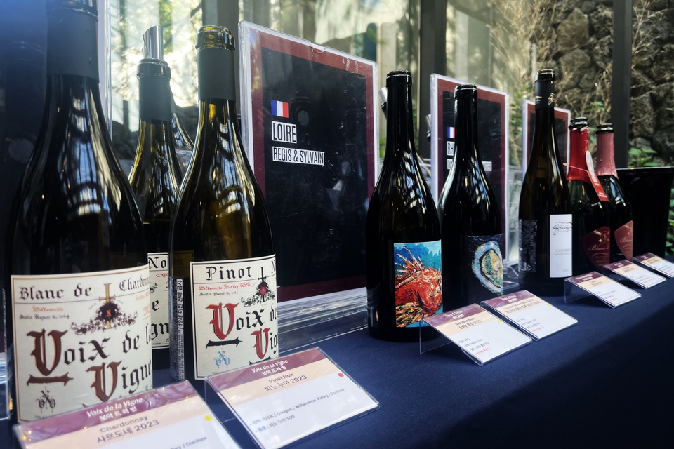 (왼쪽부터) 보아 드 라 빈(Voix de la Vigne), 레지 & 실뱅(Regis & Sylvain) Art Collection