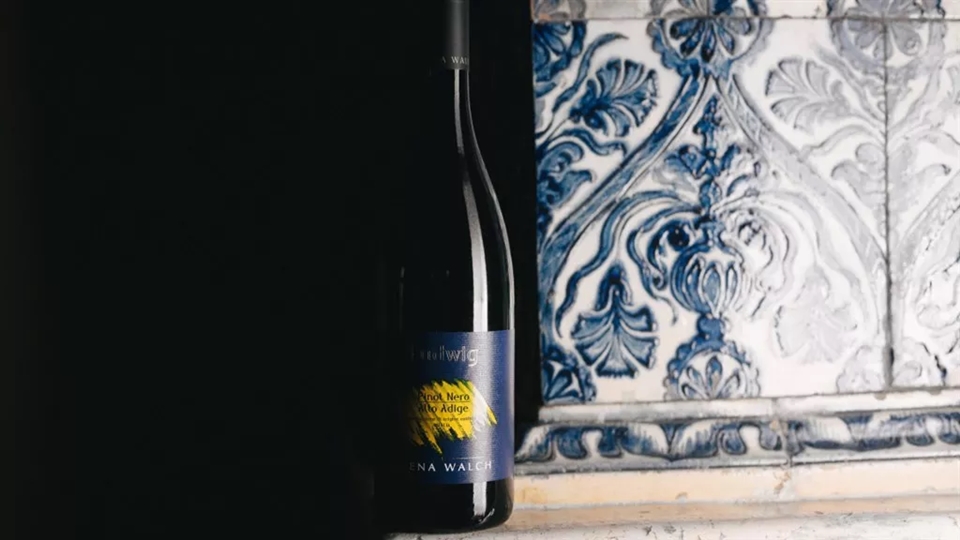 루드윅 피노 네로(Ludwig Pinot Nero)