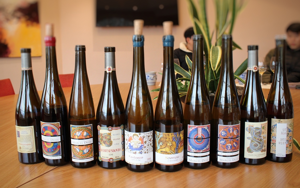 도멘 마르셀 다이스 테이스팅 와인들 (사진=마현수)
