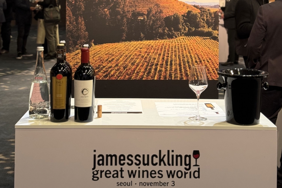 얄리 행사 사진 (사진=레뱅)