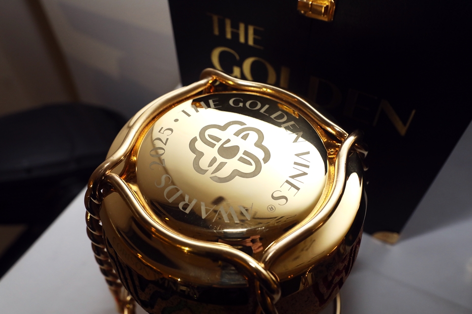 지난 7일과 8일, 세계 최고의 와인과 스피릿 산업의 성취를 기리는 ‘2025 골든 바인즈 어워즈(The Golden Vines Awards)’가 미국 마이애미의 파에나 포럼(Faena Forum)에서 화려하게 개최됐다 (사진=Aaron Davidson/Getty Images for The Golden Vines®)