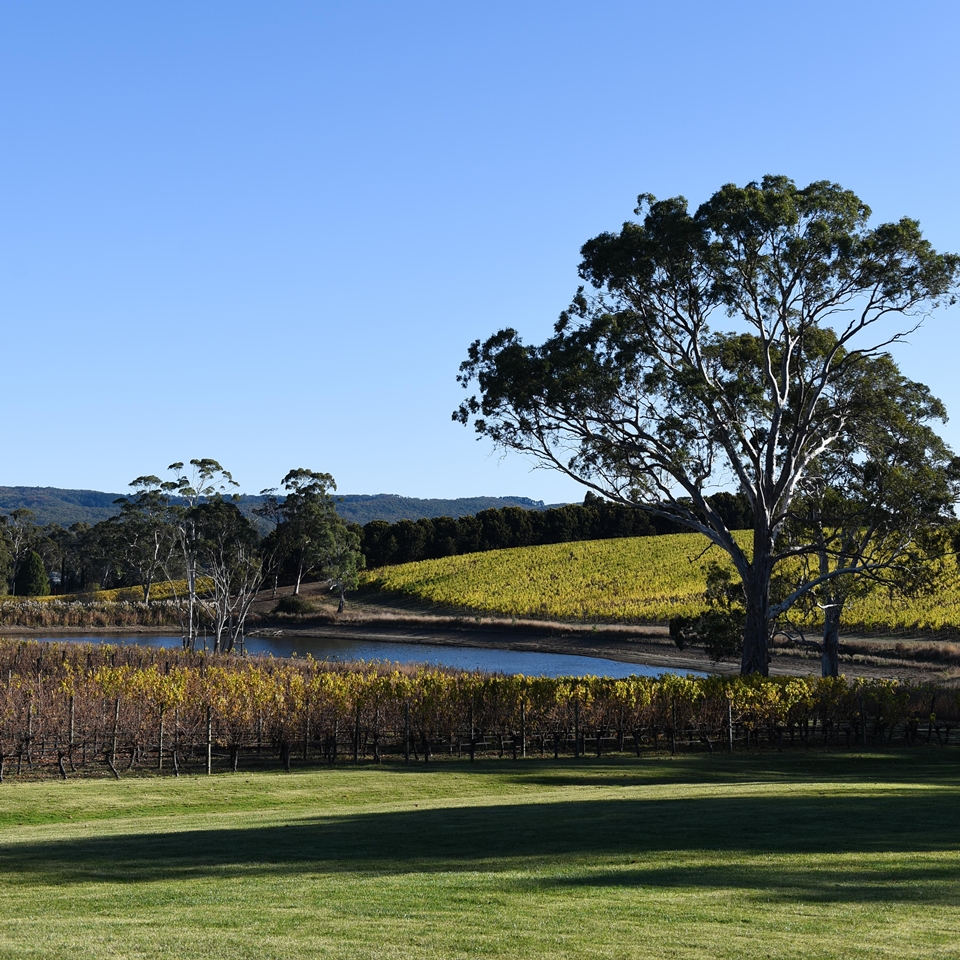 쇼 앤 스미스 셀러도어 앞 전경
