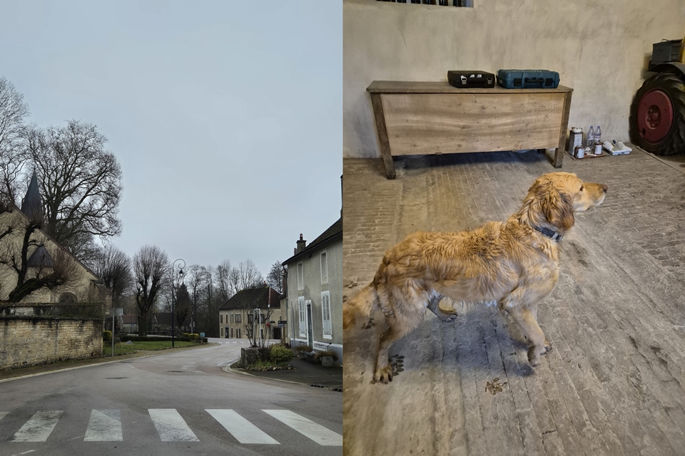 (좌측부터) 폴리지(Polisy)마을 & 샴페인 앙드레 보포(André Beaufort)의 강아지 (사진=마현수)