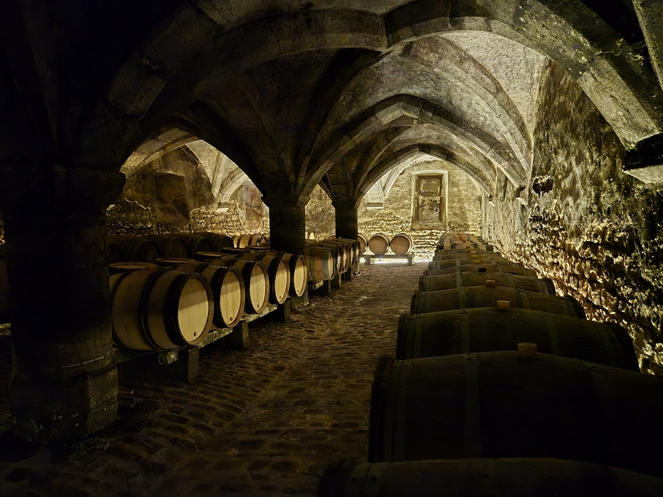 샴페인 앙드레 보포 꺄브 (사진=마현수)