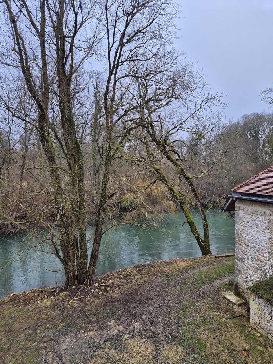 센 강(Seine) (사진=마현수)