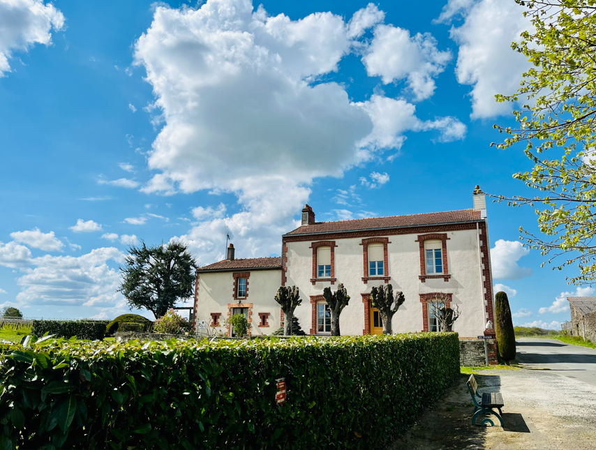 도멘 데 티율 전경