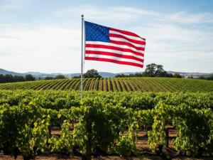 실리콘밸리은행(SVB), 2026년 '미국 와인 산업 현황 보고서' 발표 - 뉴스 썸네일 이미지